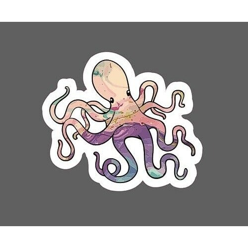 Octopus Sticker Colorful Cute