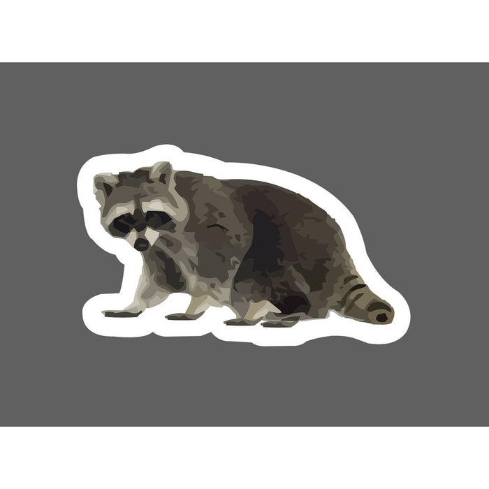 Raccoon Sticker Animal