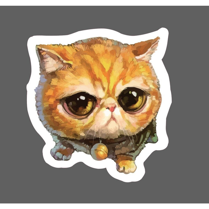 Cat Sticker Orange Kitten Cute