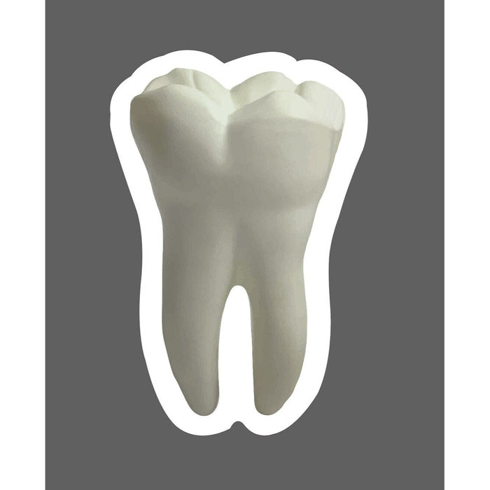 Tooth Sticker Molar Roots