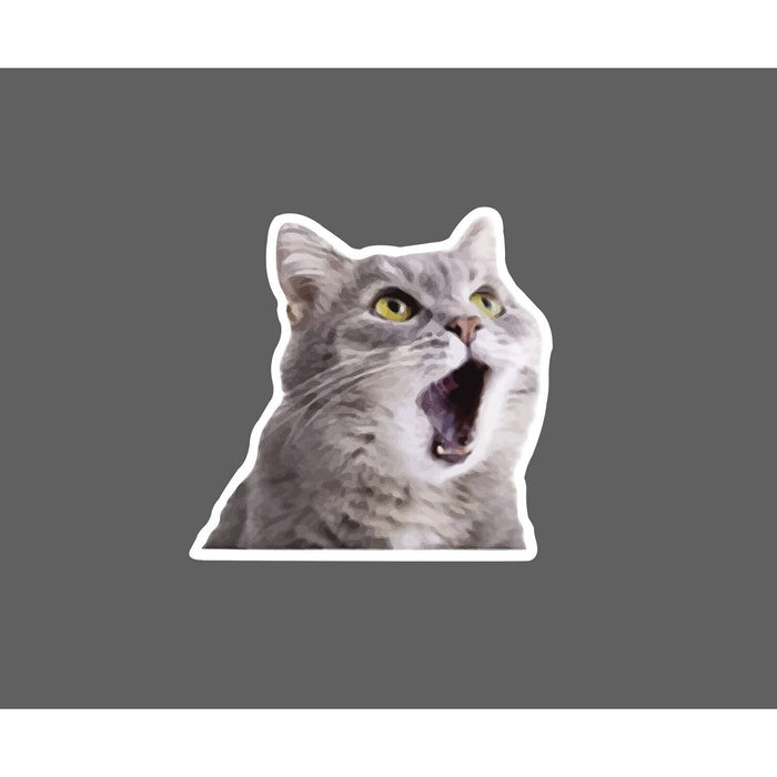 Surprised Cat Sticker Meme Funny