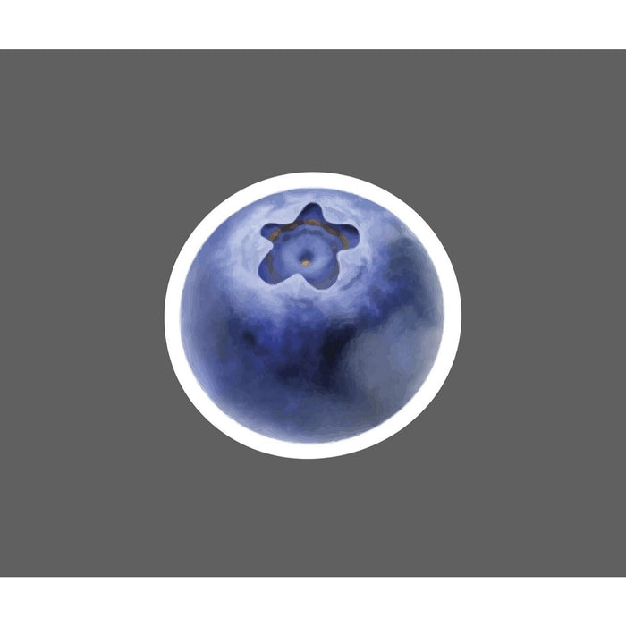 Blueberry Sticker Fruit