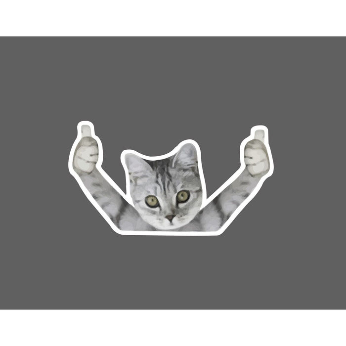 Cat Thumbs Up Sticker Approval