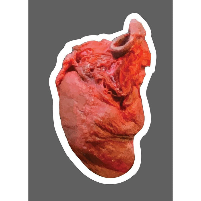 Heart Sticker Realistic Muscle